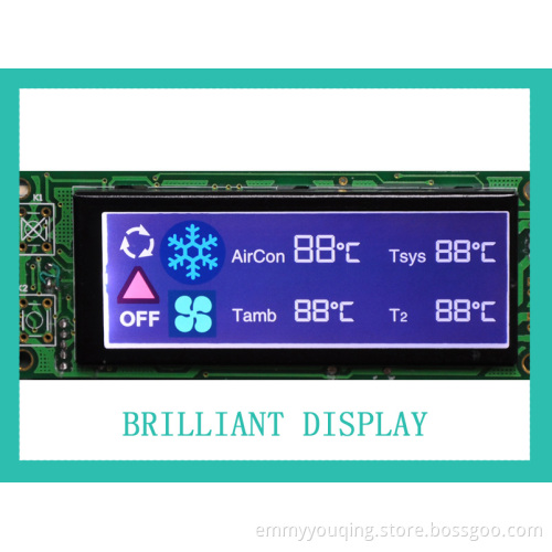 Custome LCD Module with RoHS